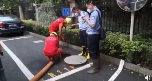 杭州爆料碎尸案件最新,真相逐步浮出水面，警方全力追查凶手踪迹  第2张