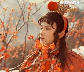 八三版红楼梦在线观看,经典再现，重温古典名著魅力