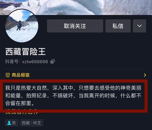 枫丹最新鲜消息爆料视频,揭秘神秘视频背后的惊人真相！