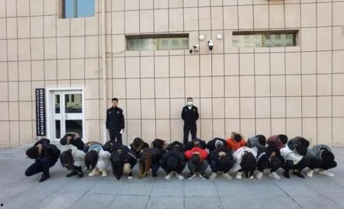 包头苏蒙学校爆料案件最新,真相揭开，校园安全再引关注”