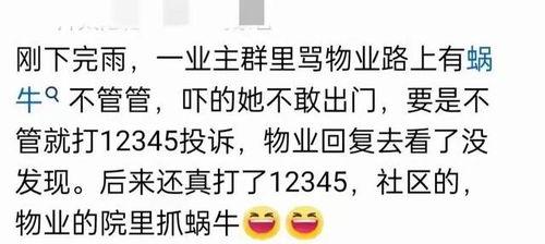 吃瓜群爆料网红小说,揭秘网红小说背后的真实故事  第2张