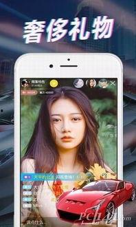 岑哥直播爆料视频大全下载,揭秘幕后真相，带你领略直播魅力