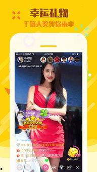 岑哥直播爆料视频大全下载,揭秘幕后真相，带你领略直播魅力  第2张