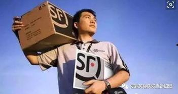 顺丰搞笑视频爆料,快递员日常笑料连连，网友直呼太欢乐！
