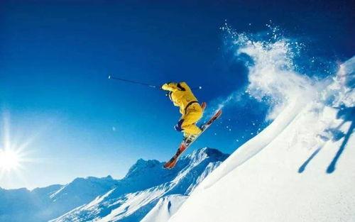 爆料滑雪视频大全最新,揭秘最新爆料视频大全精彩瞬间