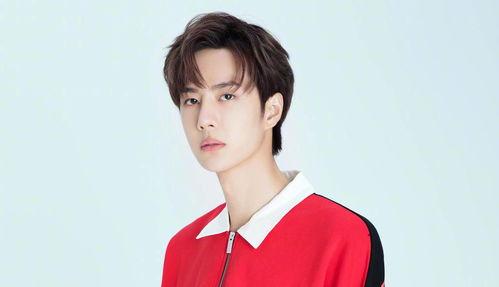 娱乐大爆料苏新皓视频大全,视频全集精彩回顾