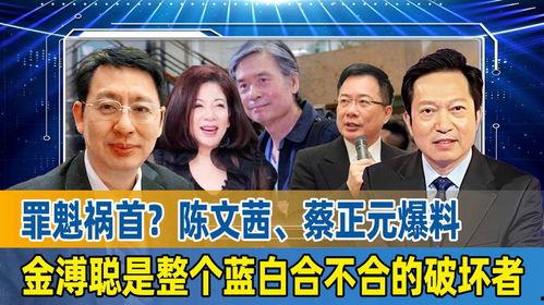 蔡正元最新爆料,揭秘重大事件背后惊人真相 第3张 蔡正元最新爆料,揭秘重大事件背后惊人真相 第3张