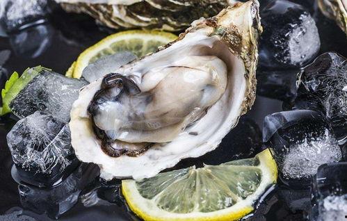 爆料生蚝海鲜吃货视频,吃货视频大揭秘  第2张