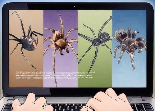 在线观看蜘蛛,揭秘在线蜘蛛生成技术