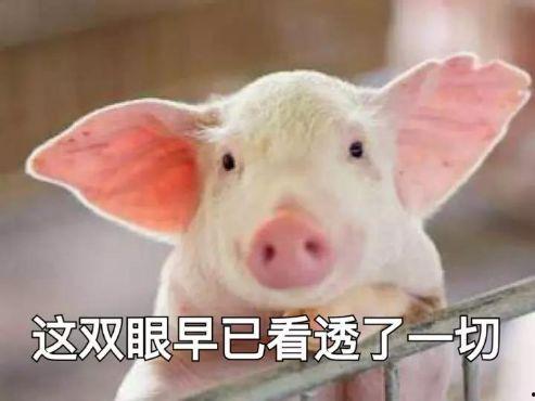 养猪导演大爆料视频,大爆料视频深度解析  第2张