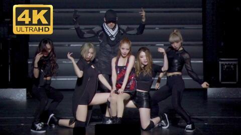 蛇姐最新爆料视频大全,揭秘娱乐圈幕后真相