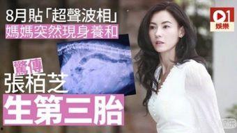 娱乐圈八卦爆料张伯知,揭秘背后真相与争议 第3张 娱乐圈八卦爆料张伯知,揭秘背后真相与争议 第3张