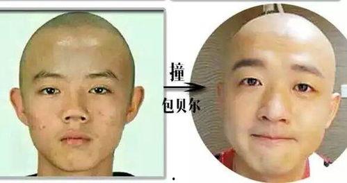 光头熊微博爆料最新,揭秘娱乐圈最新热点事件  第2张