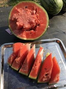 最近的网红吃瓜事件,揭秘网络舆论背后的真相与争议  第3张