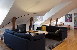 阁楼  在线观看,探索阁楼在线观看之旅 第2张