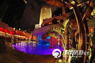 鲨鱼爆料赌城视频大全下载,鲨鱼爆料视频大全下载全解析