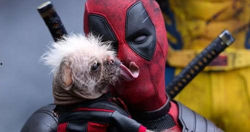 漫威最新爆料死侍图片,死侍全新形象首度曝光，颠覆传统英雄形象