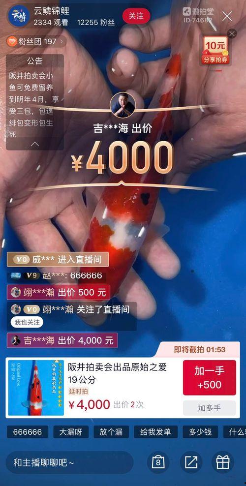 鱼乐圈最新爆料,最新爆料背后的惊人真相  第3张