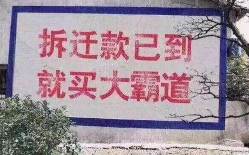 乡村新闻爆料怎么写文案,揭秘乡村发展新动态  第3张