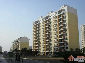 惠南镇房产爆料最新消息,揭秘价格走势与投资潜力  第2张