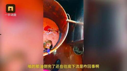 小龙被爆料视频大全,揭秘背后真相与争议  第2张