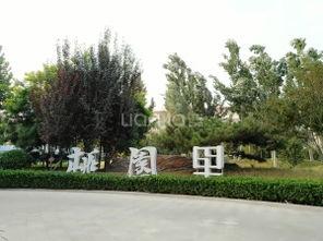 石家庄桃园里最新爆料,揭秘神秘爆料背后的真相  第2张