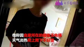 豆妈邻居爆料视频在线观看,揭秘惊人真相，在线观看引热议  第2张