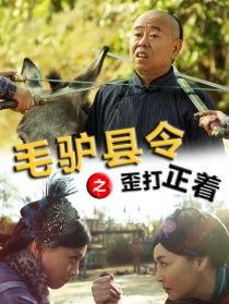 毛驴县令全集在线观看,笑谈官场风云，揭秘古代智慧