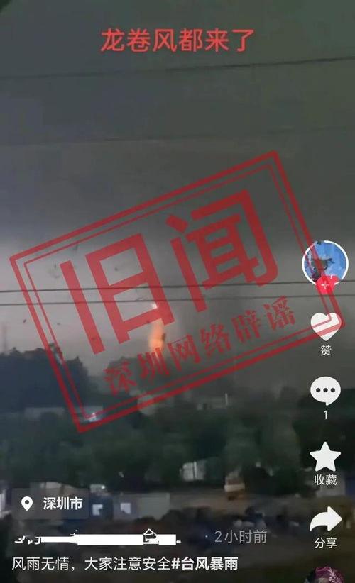 最新台风爆料消息视频大全,视频大全揭秘风暴来袭  第3张