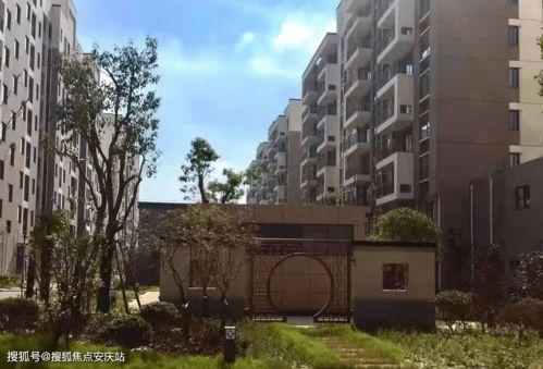 宝鸡高速最新爆料电话,一触即达，揭秘高速动态