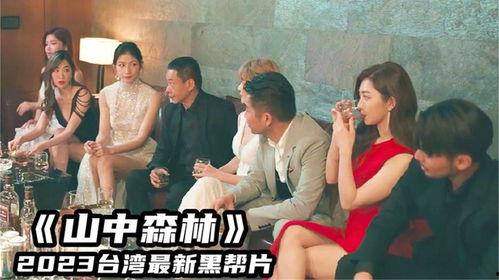 台湾黑帮爆料视频,揭秘黑帮势力与幕后交易  第2张