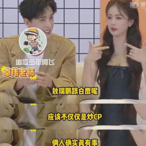 爆料猛料白鹿视频,揭秘娱乐圈不为人知的幕后真相