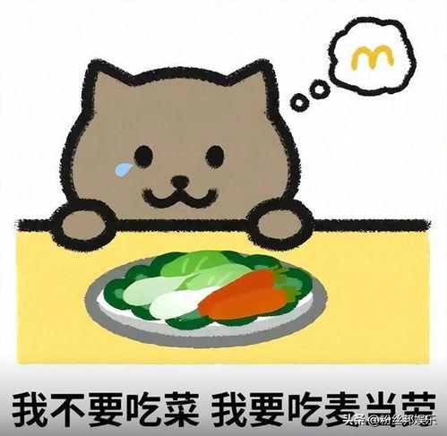 胖猫爆料直播视频,一场爆笑不断的互动盛宴 第2张 胖猫爆料直播视频,一场爆笑不断的互动盛宴 第2张