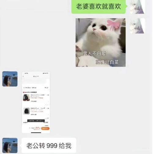 胖猫爆料直播视频,一场爆笑不断的互动盛宴 第3张 胖猫爆料直播视频,一场爆笑不断的互动盛宴 第3张