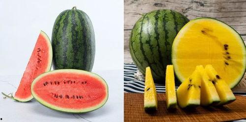 vx免费吃瓜,揭秘热门话题背后的真相与趣味 第3张 vx免费吃瓜,揭秘热门话题背后的真相与趣味 第3张