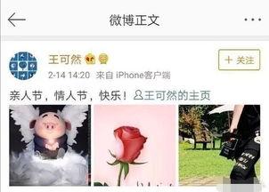 杨洋爆料热巴视频大全,精彩视频大盘点  第2张