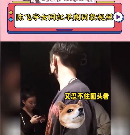 陈飞宇原视频爆料,娱乐圈背后的真实故事