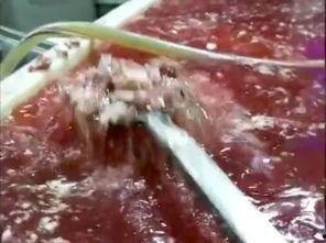 外卖员爆料排骨视频,视频揭露排骨背后的秘密 第2张 外卖员爆料排骨视频,视频揭露排骨背后的秘密 第2张