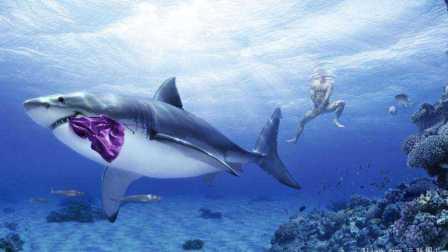 深海巨鲨在线观看,惊心动魄的深海探险之旅 第3张 深海巨鲨在线观看,惊心动魄的深海探险之旅 第3张