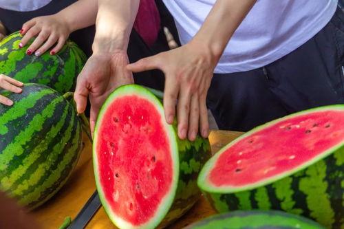 瓜王免费吃,免费畅享，尽享夏日清凉  第2张