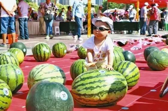 瓜王免费吃,免费畅享，尽享夏日清凉  第3张