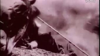 浴血战神 在线观看,热血征程，荣耀归来  第3张