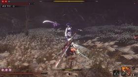 最新爆料雷电将军视频播放,神秘力量觉醒，战斗风格颠覆想象