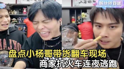 海王爆料小杨哥视频播放,小杨哥视频播放背后的惊人真相