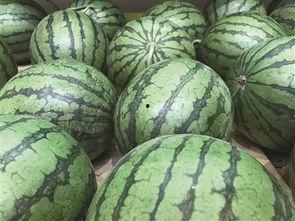 娱乐吃瓜酱地瓜,揭秘娱乐圈那些鲜为人知的幕后故事  第3张