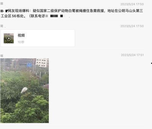 爆料最新深圳新闻,聚焦城市热点事件与动态 第3张 爆料最新深圳新闻,聚焦城市热点事件与动态 第3张