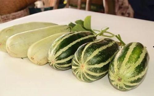 奥克兰网红吃瓜视频,揭秘当地美食与趣事 第3张 奥克兰网红吃瓜视频,揭秘当地美食与趣事 第3张