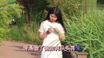 挑情在线观看,一场激情四溢的视觉盛宴