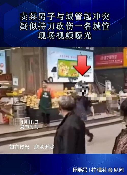 城管爆料视频大全,揭秘城市管理背后的故事  第2张