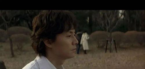 吉尺明步电影在线观看,电影在线观看，探寻舞蹈与生活的完美融合  第2张